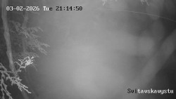 Sjezdovka Svitavská