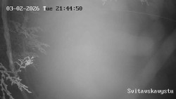 Sjezdovka Svitavská