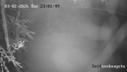 Sjezdovka Svitavská