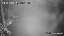 Sjezdovka Svitavská