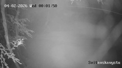 Sjezdovka Svitavská