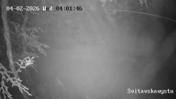 Sjezdovka Svitavská