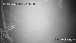 Sjezdovka Svitavská