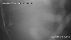 Sjezdovka Svitavská