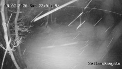 Sjezdovka Svitavská