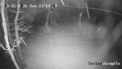 Sjezdovka Svitavská