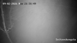 Sjezdovka Svitavská