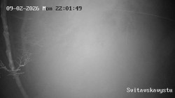 Sjezdovka Svitavská