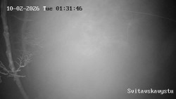 Sjezdovka Svitavská