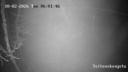 Sjezdovka Svitavská