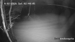 Sjezdovka Svitavská