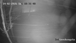 Sjezdovka Svitavská