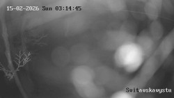 Sjezdovka Svitavská