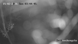 Sjezdovka Svitavská