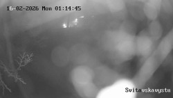 Sjezdovka Svitavská