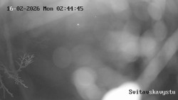 Sjezdovka Svitavská