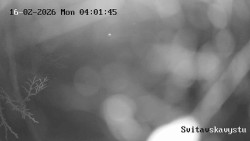 Sjezdovka Svitavská