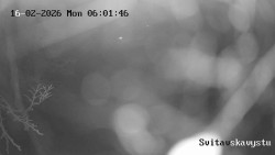 Sjezdovka Svitavská