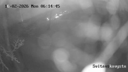 Sjezdovka Svitavská