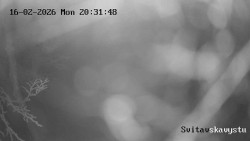 Sjezdovka Svitavská