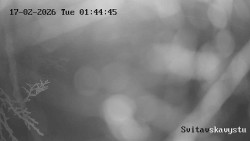 Sjezdovka Svitavská