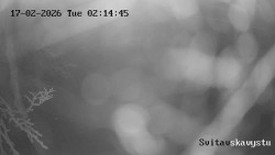 Sjezdovka Svitavská