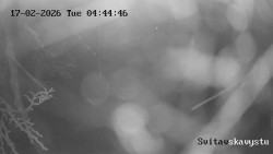 Sjezdovka Svitavská