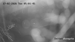 Sjezdovka Svitavská