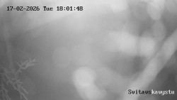 Sjezdovka Svitavská