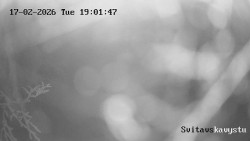 Sjezdovka Svitavská