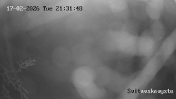 Sjezdovka Svitavská