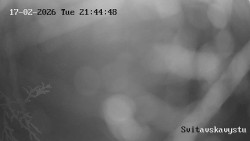 Sjezdovka Svitavská