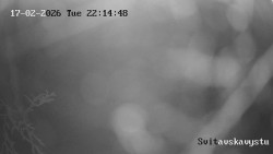 Sjezdovka Svitavská