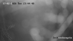 Sjezdovka Svitavská