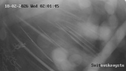 Sjezdovka Svitavská