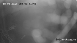 Sjezdovka Svitavská