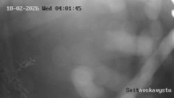 Sjezdovka Svitavská