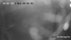 Sjezdovka Svitavská