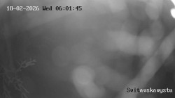 Sjezdovka Svitavská