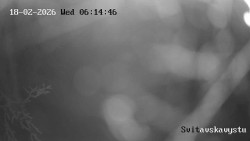 Sjezdovka Svitavská