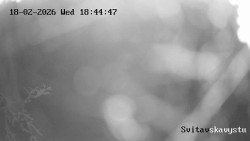 Sjezdovka Svitavská