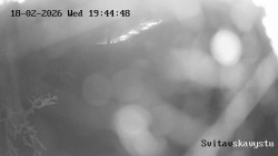 Sjezdovka Svitavská