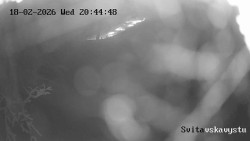 Sjezdovka Svitavská