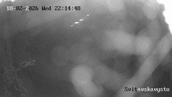 Sjezdovka Svitavská