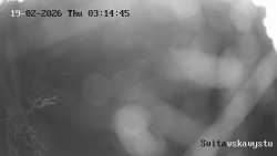 Sjezdovka Svitavská