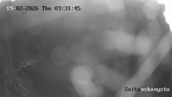 Sjezdovka Svitavská