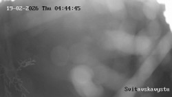 Sjezdovka Svitavská