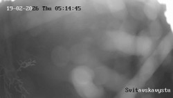 Sjezdovka Svitavská