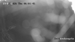 Sjezdovka Svitavská