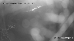 Sjezdovka Svitavská